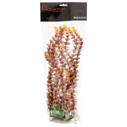 Aquatop Cabomba Aquarium Plant - Fire - 12