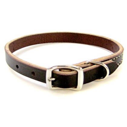 Circle T Latigo Leather Town Collar - 12\