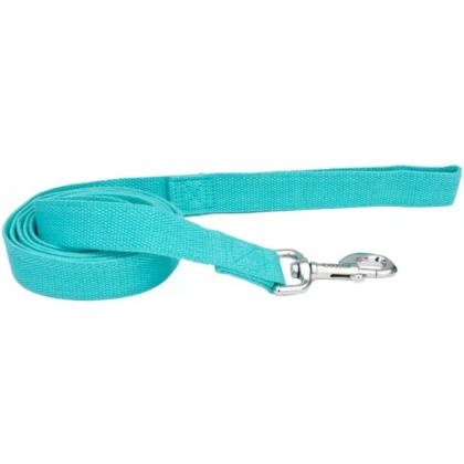 Coastal Pet New Earth Soy Dog Lead Mint Green - 6 feet x 5/8\