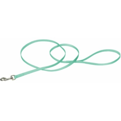 Coastal Pet Single-ply Nylon Dog Leash Teal - 4\'L x 3/8\