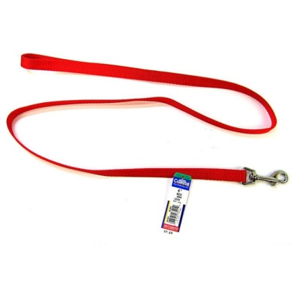 Coastal Pet Nylon Lead - Red - 4\' Long x 5/8\