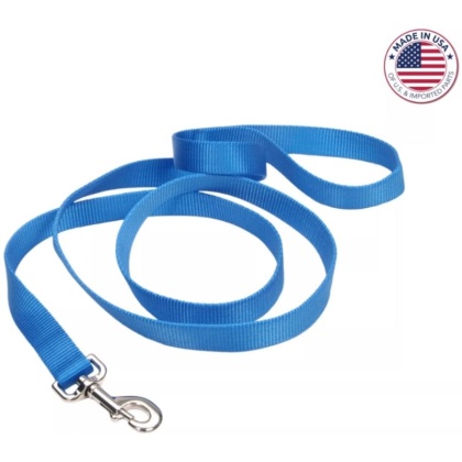 Coastal Pet Single-Ply Nylon Dog Leash Blue Lagoon - 4 feet x 5/8\