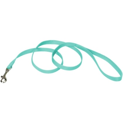 Coastal Pet Single-ply Teal Nylon Dog Lead - 6\'L x 5/8\