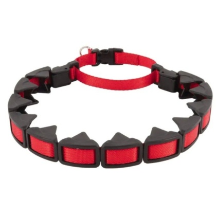 Coastal Pet Natural Control Training Collar Red - 22\