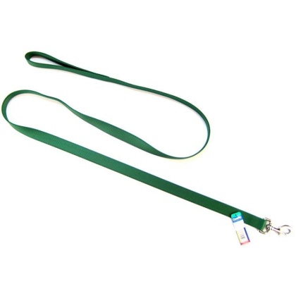 Coastal Pet Single Nylon Lead - Hunter Green - 6\' Long x 1\