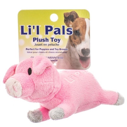 Lil Pals Ultra Soft Plush Dog Toy - Pig - 5.5\