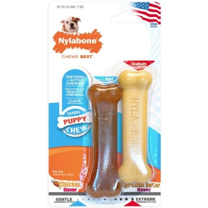 Nylabone Puppy Chew Petite Twin Pack - Chicken & Peanut Butter Nylon Chews - 3.75\