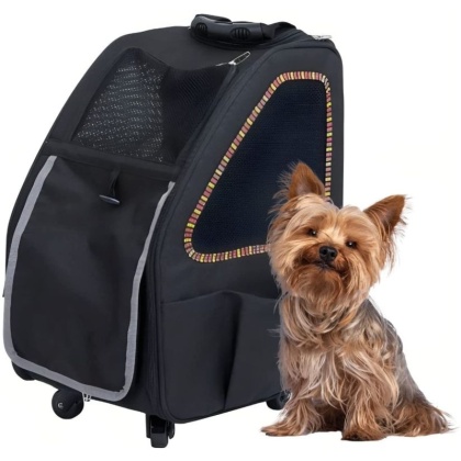 Petique 5-in-1 Pet Carrier for Dogs Cats and Small Animals Sunset Strip - 1 count