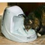 Drinkwell Platinum Pet Fountain