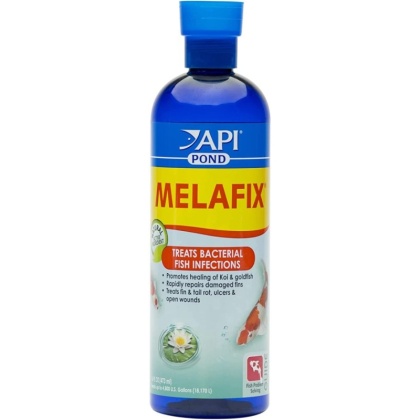 PondCare MelaFix Antibacterial Remedy for Koi & Goldfish - 16 oz (Treats 4,800 Gallons)