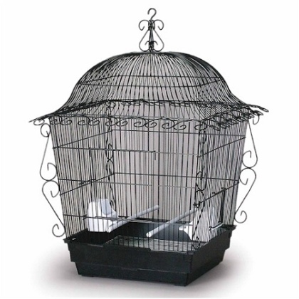 Elegant Scrollwork Bird Cage - White