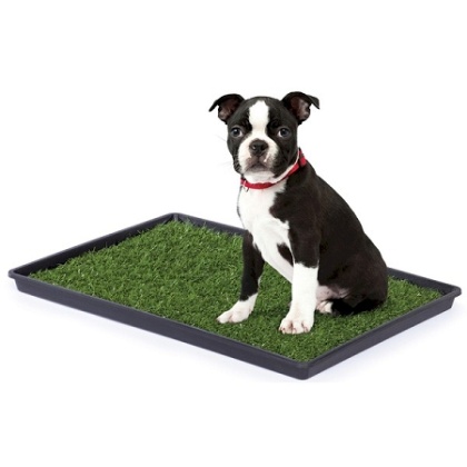 Tinkle Turf - Large