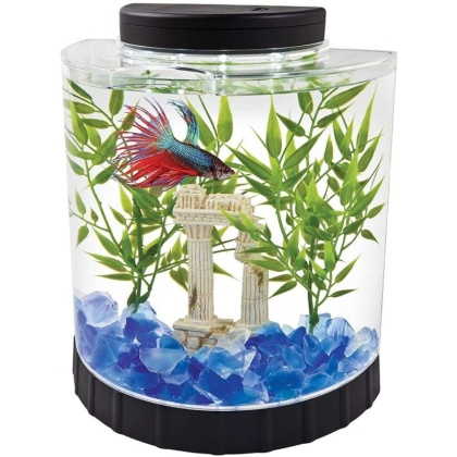 Tetra Half Moon Betta Kit with LED Lighting - 1 Gallon Aquarium Kit