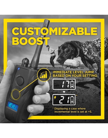 Dogtra 1900S Black Boost & Lock E-Collar Remote Dog Trainer 1-Mile Range