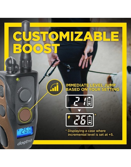 Dogtra 1900S HANDSFREE Plus Boost and Lock, Remote Dog Training E-Collar