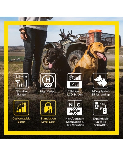 Dogtra 1902S HANDSFREE Plus Boost and Lock, Remote Dog Training E-Collar