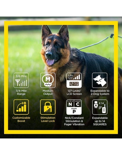 Dogtra ARC HANDSFREE Plus Boost and Lock, Remote Dog Training E-Collar