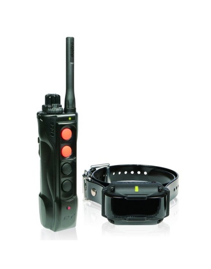 Dogtra Edge RT Trainer