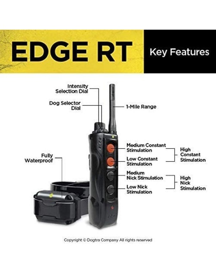 Dogtra Edge RT Trainer