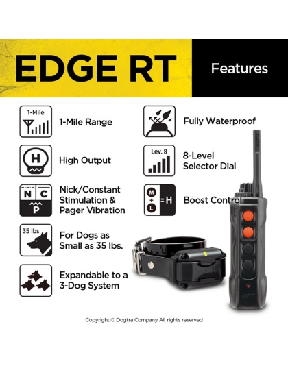 Dogtra Edge RT Trainer