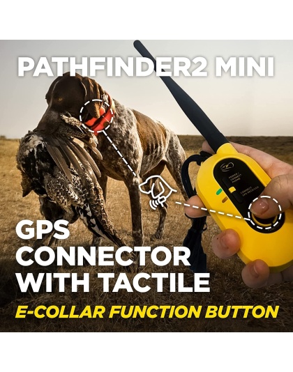Dogtra PATHFINDER2 MINI Additional GPS Dog Tracking Collar - Blue