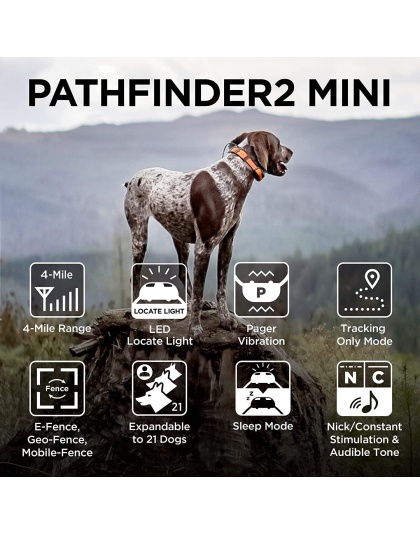 Dogtra PATHFINDER2 MINI Additional GPS Dog Tracking and Dog Training Collar - Black