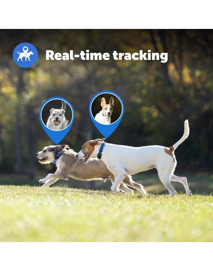 PetSafe Guardian GPS + Tracking Dog Fence Collar 