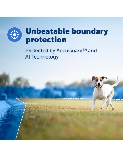 PetSafe Guardian GPS + Tracking Dog Fence Collar 