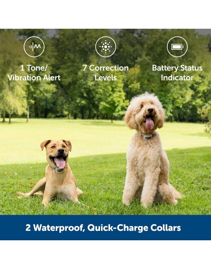 PetSafe Classic In-Ground Fence for Dogs and Cats - Includes TWO Waterproof Collars