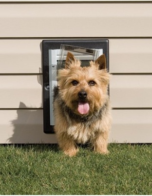 PetSafe Wall Dog Door - Small