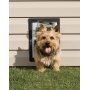 PetSafe Wall Dog Door - Small