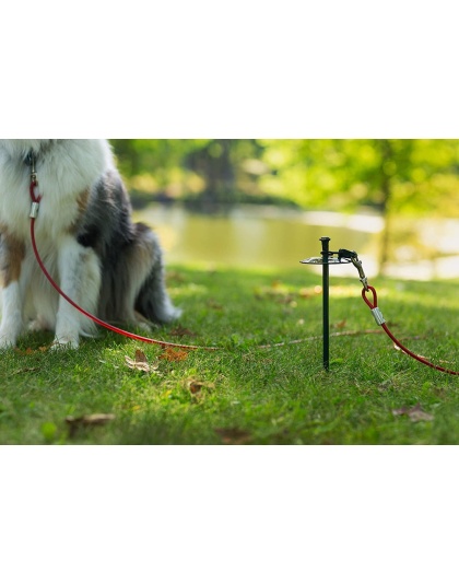 Prevue Pet Products 20 Foot Tie-out Cable Heavy Duty