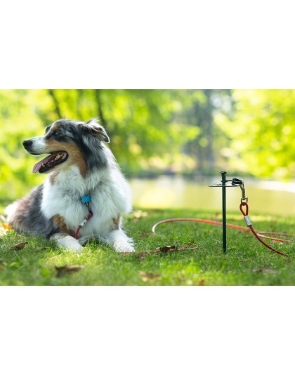 Prevue Pet Products 20 Foot Tie-out Cable Heavy Duty