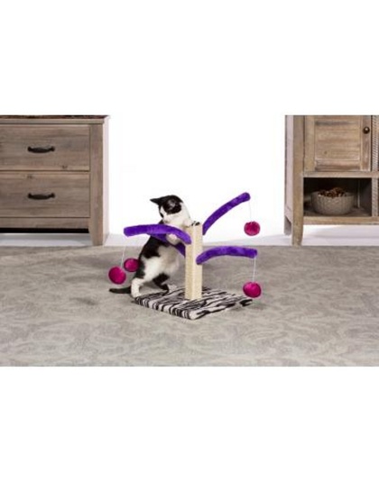 Prevue Pet Products Bounce 