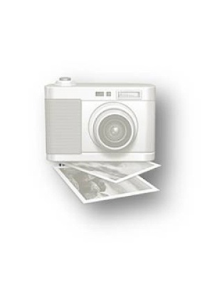 Perimeter Brand 6V Battery